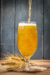 glass of beer