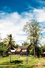 Rice barns in a traditional Tana Toraja village, tongkonan houses and buildings. Sunny, blue sky with clouds. Kete Kesu, Rantepao, Sulawesi, Indonesia