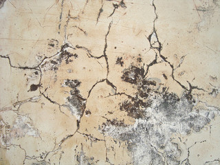 Obraz premium white concrete wall texture