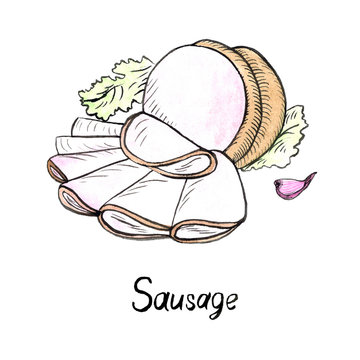 Sausage, cut slices and lettuce leaves, clove of garlic, hand painted illustration, watercolor and ink outline