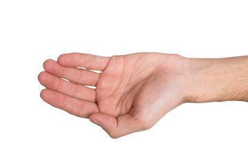 Man outstretched open hand, top view, isolated