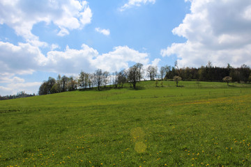 Green grass, forest and blue sky. Czech landscape