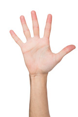 Take five gesture - outstretched open palm, cutout
