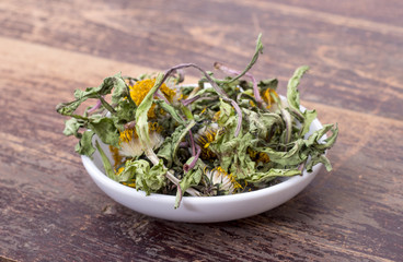 dried dandelion / Porcelain bowl with dried flowers and leaves of dandelion