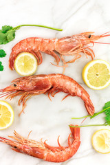 Raw shrimps with slices of lemon, cilantro, and copyspace