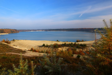 Staatsbosbeheer Gieten