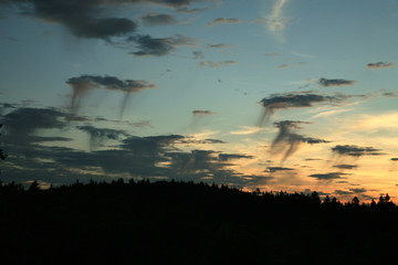 Cloudscape with Altocumulus floccus virga clouds, Altocumulus middle-altitude cloud with rain by sunset.
