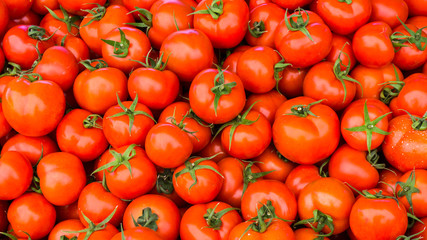 group of red ripe tomatoes