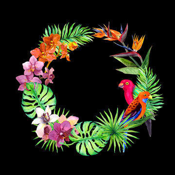 Tropical leaves, exotic birds, orchid flowers. Border wreath. Watercolor