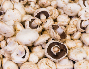 mushroom champignon. food background