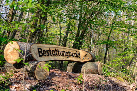 Eingang zum Friedwald