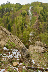 Mountains and forests