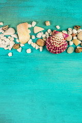 Shells and pebbles on turquoise background with copyspace