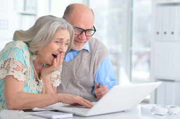 Fototapeta na wymiar Elderly couple with a laptop