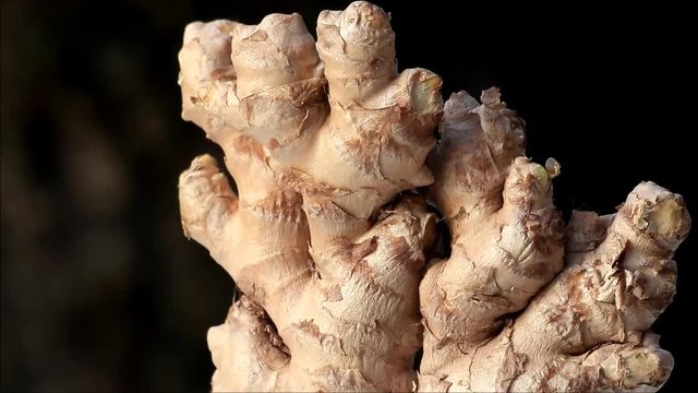 raw ginger root rotate
