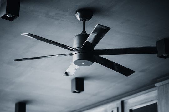ceiling fan black and white tone