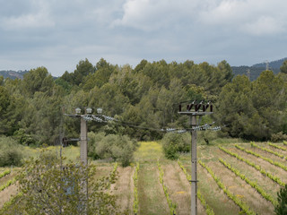 Fototapeta na wymiar Cables en el campo