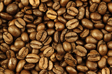 Roasted coffee beans