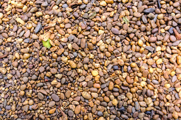 Stones of different sizes on the ground. Suitable for a background. 