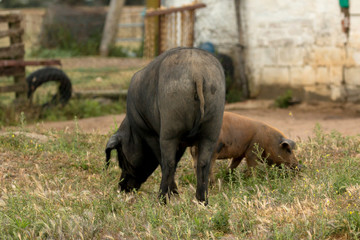 Fototapeta premium Reflection on the water of clouds decorating a beautirful sky