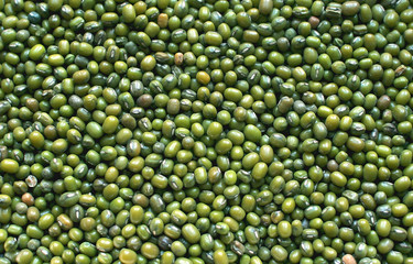 A heap of raw green mung beans