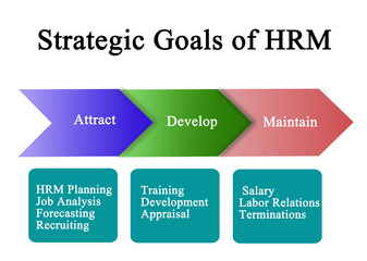 Strategic Goals of HRM