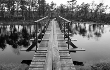 Nature hiking trail over wetlands