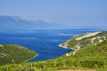 Fototapeta premium View of the Adriatic sea on the way to the Dubrovnik / Croatia