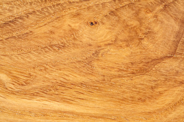 Background conceptual oak wood abstract nature landscape image macro close-up