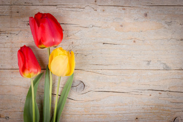 Spring card with three red tulips on wooden background. Space for text.