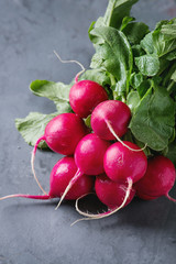 Fresh organic ripe young radish bundle with leaves over gray blue texture background. Close up