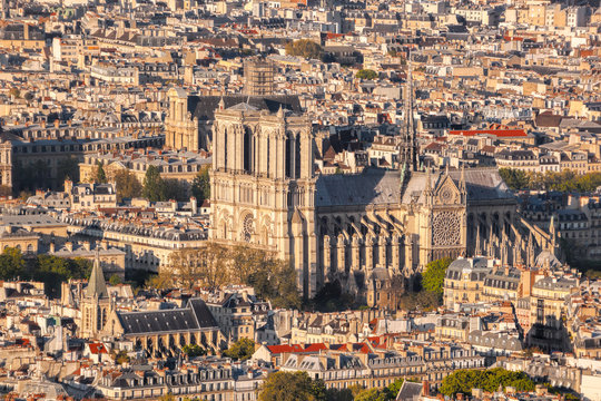 Paris with Notre Dame cathedral in France