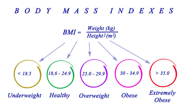 Body Max Index..