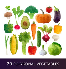 Polygonal vegetables set