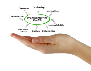 Diagram of Organizational Health