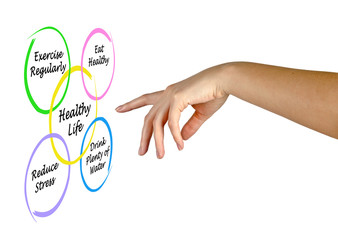 Diagram of healthy life