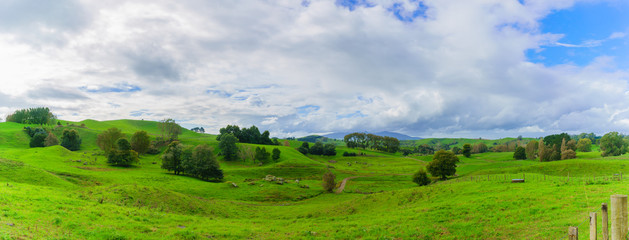 Obraz premium Panoramic scenery of countryside in North island of New Zealand