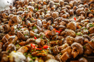 Edible Champignon mushrooms