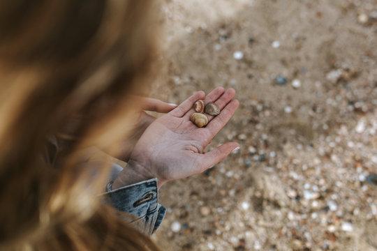 hand with shells