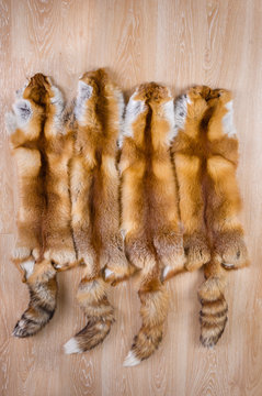 Crafted fox skin