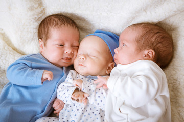 Portrait of newborn triplets - boys close up - 147964883