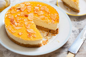 Honey and greek style yoghurt cheesecake 