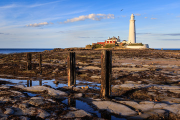 Fototapeta premium st marys lighthouse