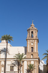 Fototapeta na wymiar Palm Trees by Old Cadiz Church