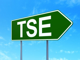 Stock market indexes concept: TSE on road sign background