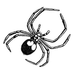 Insect stipple drawing Halloween decorative spider isolated. Spider in trendy embroidery stippling and hatching, shading style. Vector.