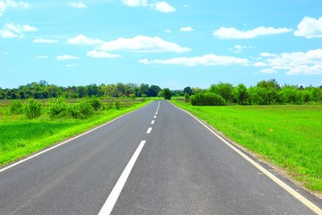 Road through the green fields