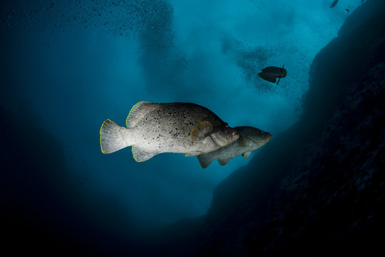From the deep