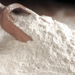 Farina di Grano Tenero