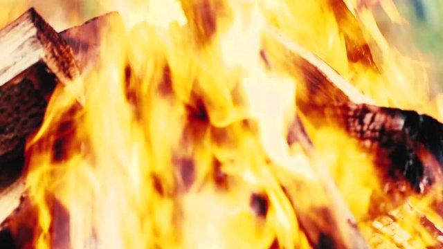 Brennendes Holz im Lagerfeuer bei Tag - Nahaufnahme